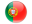 Portuguese Language